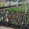 Worklink Sewerby