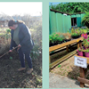 Gardens and Maintenance