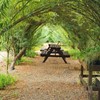 Gardens and Maintenance