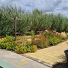 Gardens and Maintenance