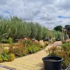 Gardens and Maintenance