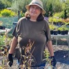 Gardens and Maintenance