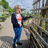 Gardens and Maintenance