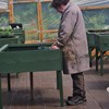 Gardens and Maintenance