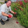 Gardens and Maintenance
