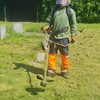 Job searching and supported employment