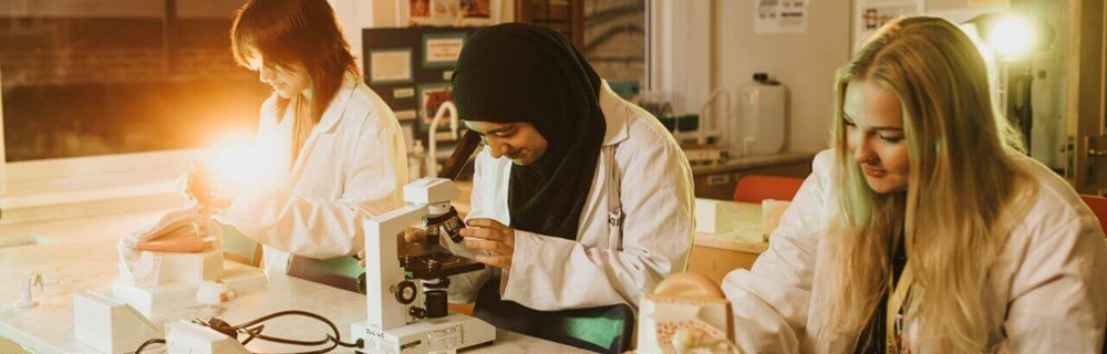 Science and Mathematics
