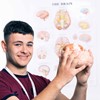 GCE A Level in Psychology