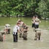 Entry to the Uniformed Services (Level 1,2 & 3) 
